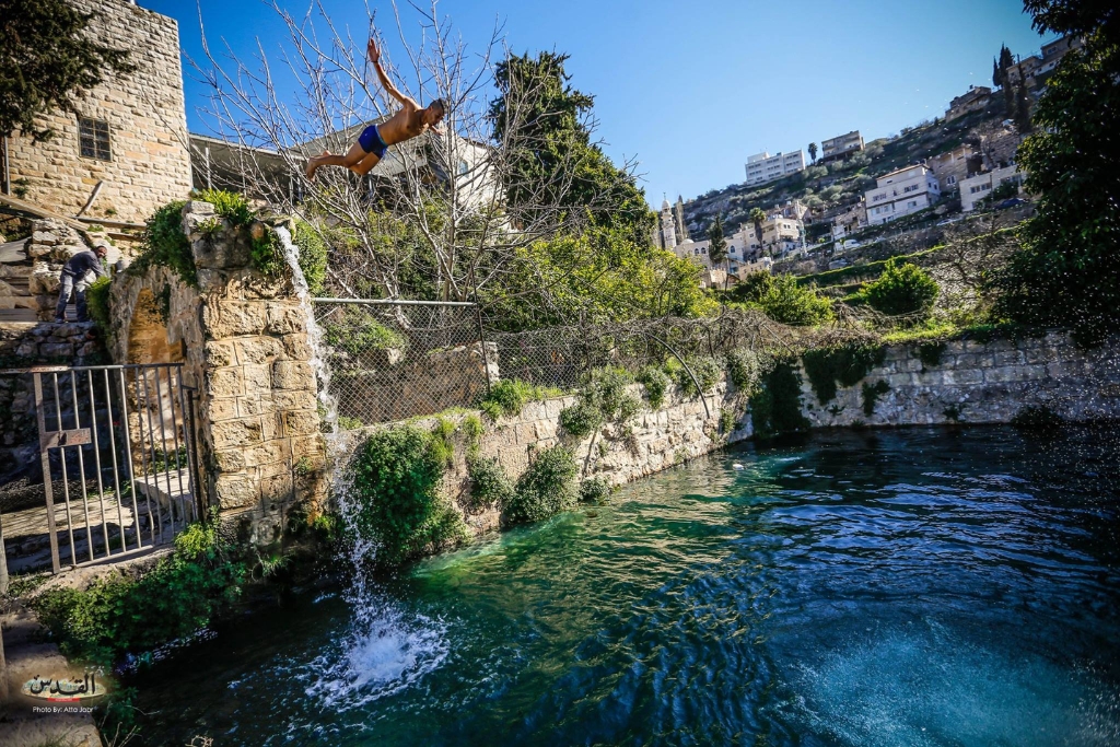 Hiking Tours in Palestine