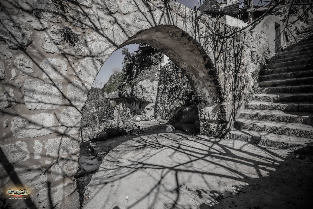 Hiking Tours in Palestine